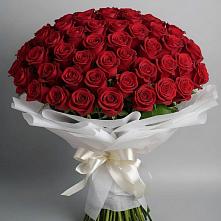Букет 101 Красная роза Блэк Мэджик в Клементьево