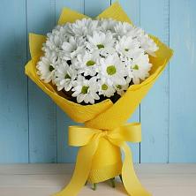Букет цветов из:  Хризантемы в Клементьево