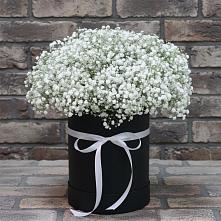 Цветочная композиция из Гипсофила в шляпной коробке в Клементьево