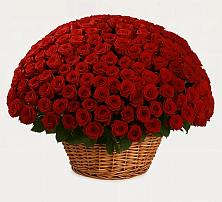 Премиум букет из: Розы в Клементьево